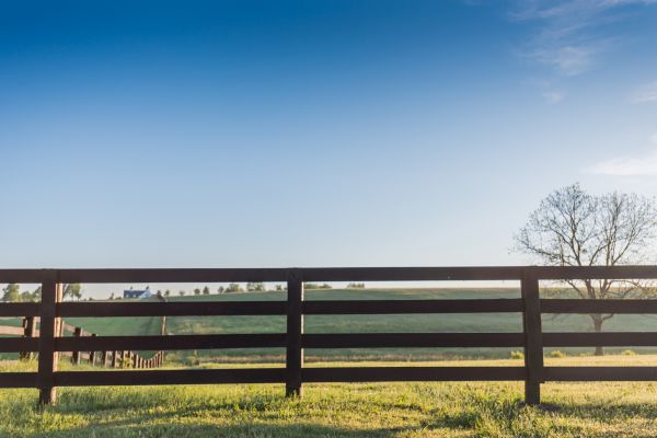 Fence Railing Installation