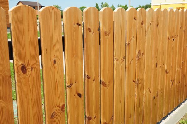 Backyard Fencing
