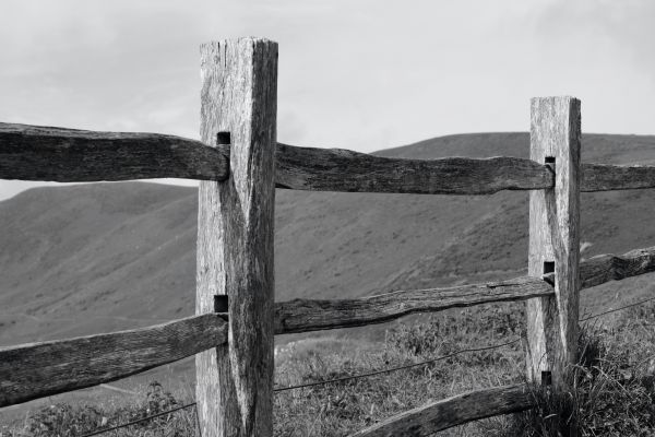 Boundary Fencing