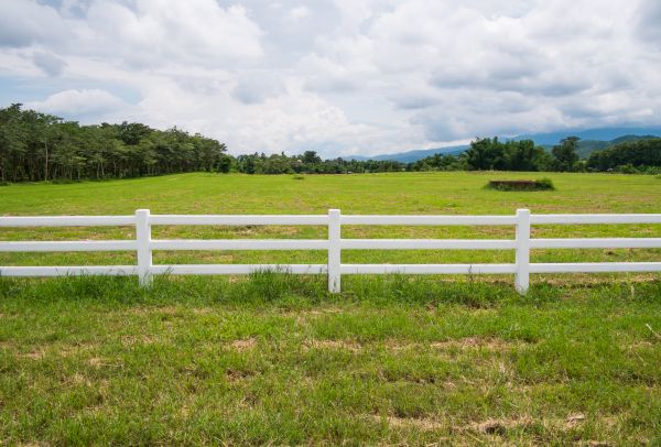 Paddock Fence Installation