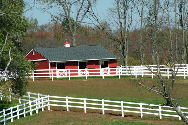 Horse Enclosure Replacement
