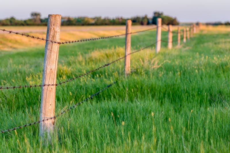 Pasture Fence Installation